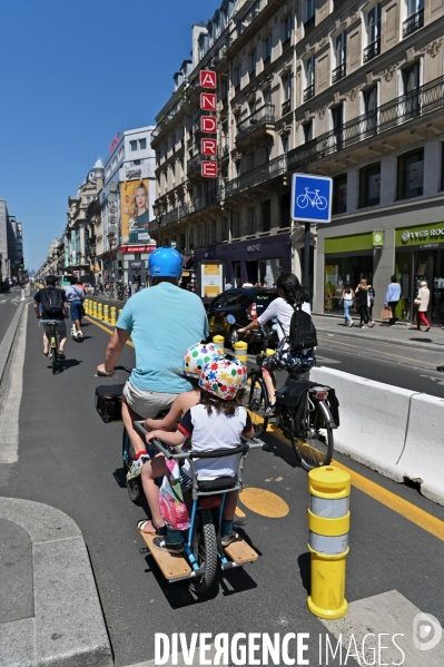 Piste cyclable rue de rivoli