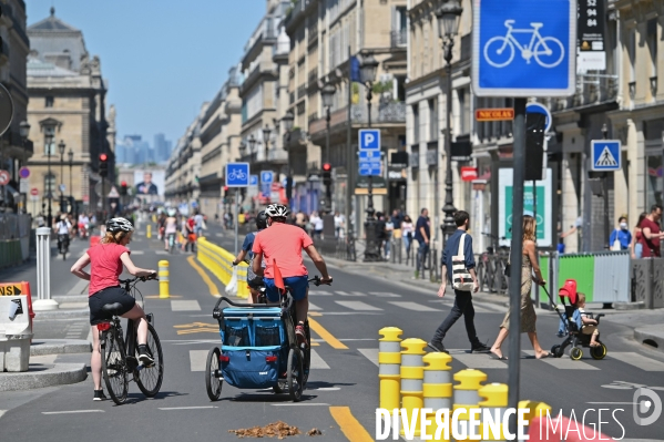 Piste cyclable rue de rivoli