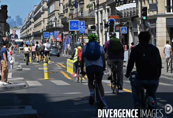 Piste cyclable rue de rivoli