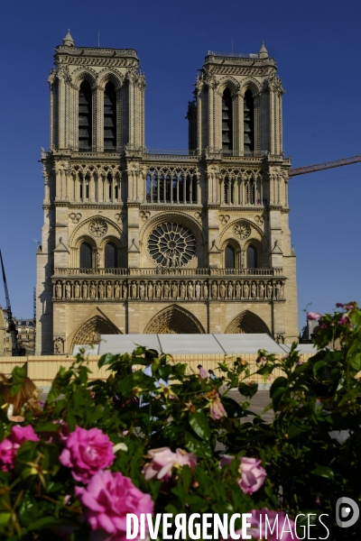 Parvis de Cathedrale Notre-Dame de nouveau ouvert. The Parvis of Cathedral Notre-Dame de Paris reopened.