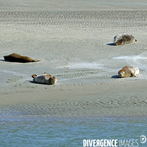 Un aller retour en Picardie maritime