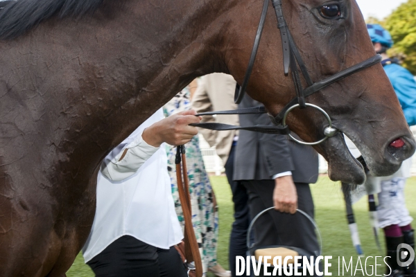 Fermeture de l hippodrome de Maisons-Laffitte