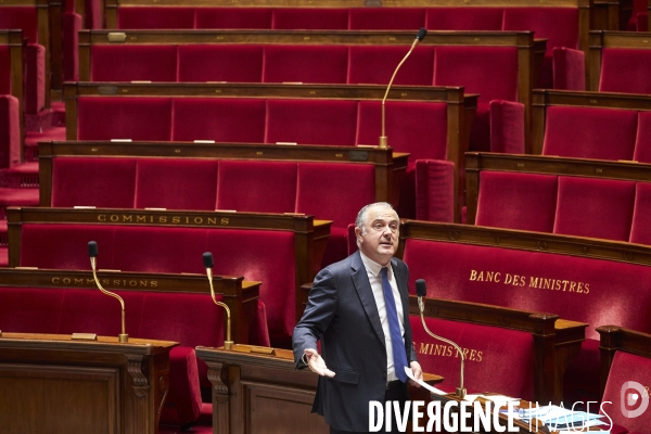 Assemblee Nationale, questions orales sans debat