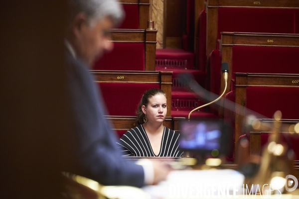 Assemblee Nationale, questions orales sans debat