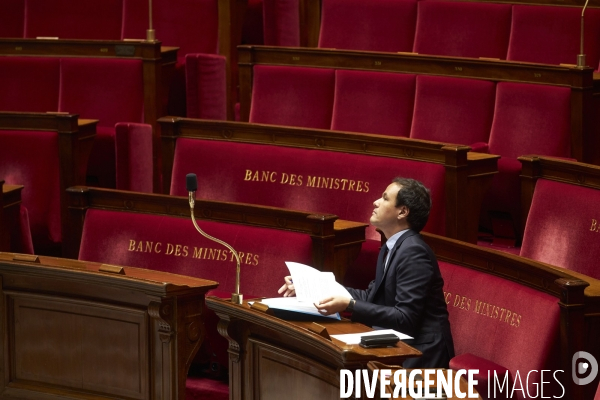 Assemblee Nationale, questions orales sans debat