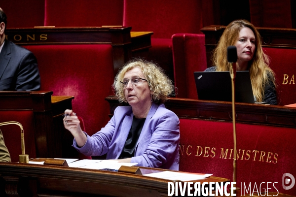 Assemblee Nationale le 11 juin 2020