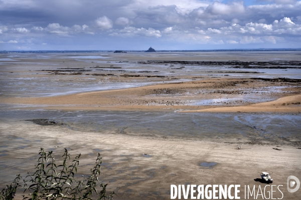 Les pêcheurs à pied de retour sur les plages de Normandie