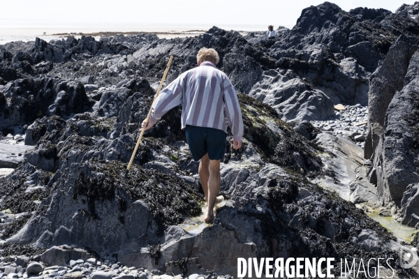 Les pêcheurs à pied de retour sur les plages de Normandie