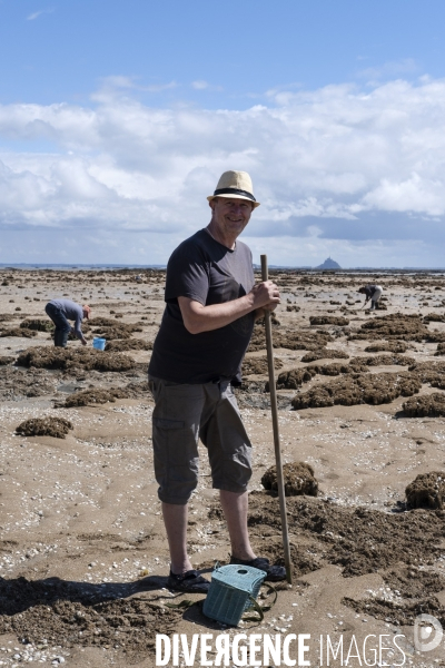 Les pêcheurs à pied de retour sur les plages de Normandie