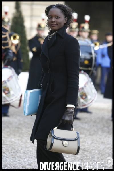 1er conseil des ministres de l annee 2009