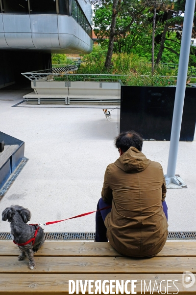 Sur le front de Seine