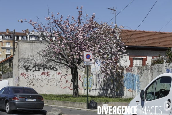 COVID-19, Banlieue Endormie J+19