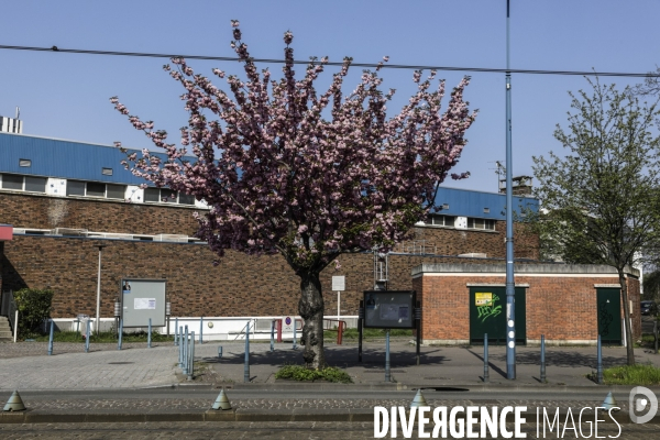 COVID-19, Banlieue Endormie J+25