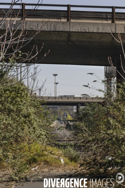 COVID-19, Banlieue Endormie J+20