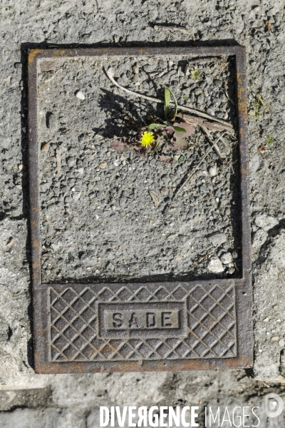 COVID-19, Banlieue Endormie J+35