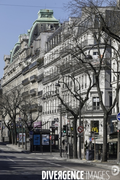 COVID-19, Paris Endormie J+8