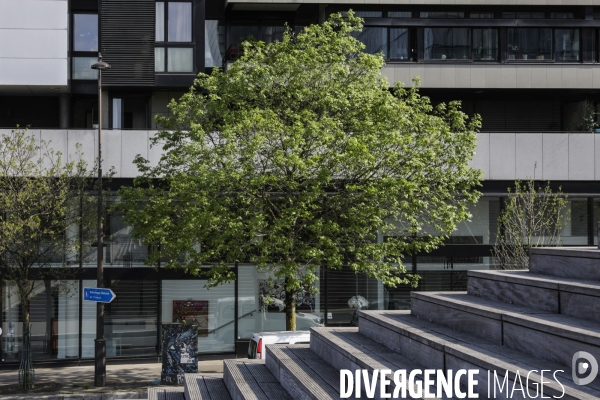 COVID-19, Paris Endormie J+25