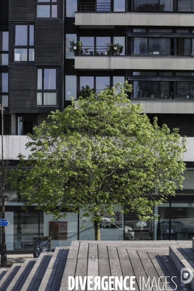COVID-19, Paris Endormie J+25