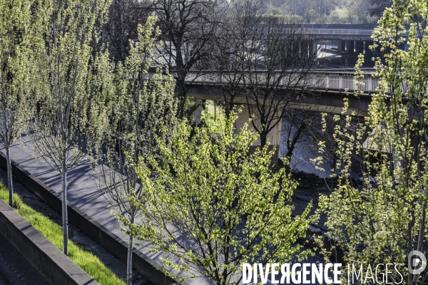 COVID-19, Paris Endormie J+19