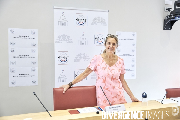 Senat : plan de relance pour la france