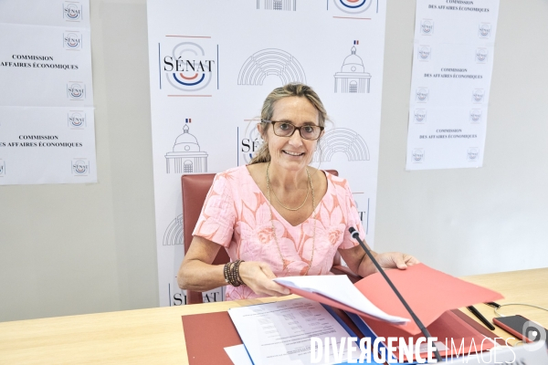 Senat : plan de relance pour la france