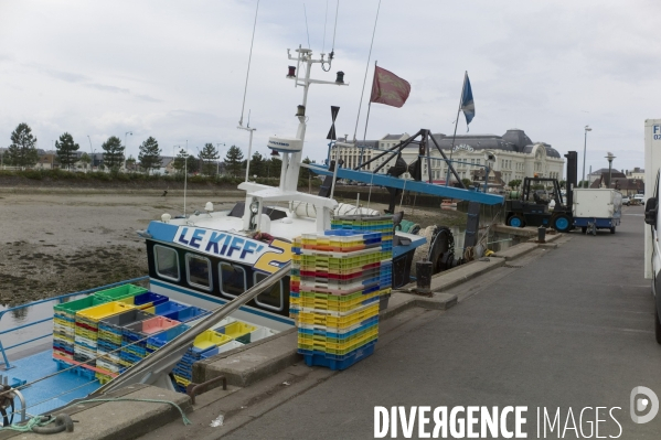 Trouville s ouvre à nouveau