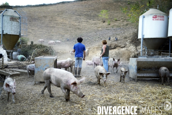 Agriculture - Circuits Courts - Aveyron