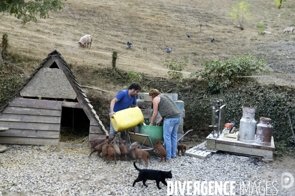 Agriculture - Circuits Courts - Aveyron