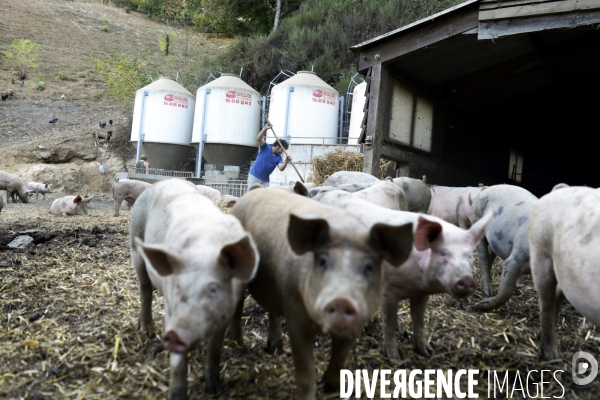 Agriculture - Circuits Courts - Aveyron
