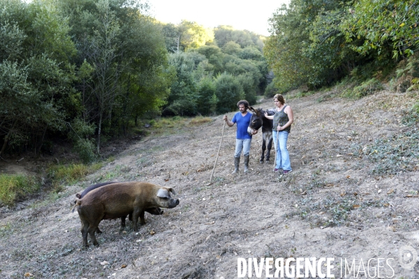 Agriculture - Circuits Courts - Aveyron