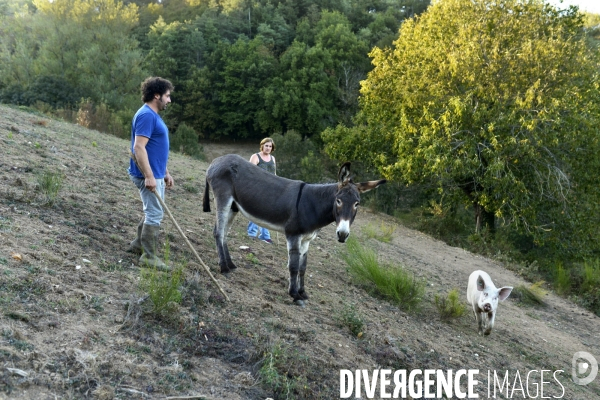 Agriculture - Circuits Courts - Aveyron