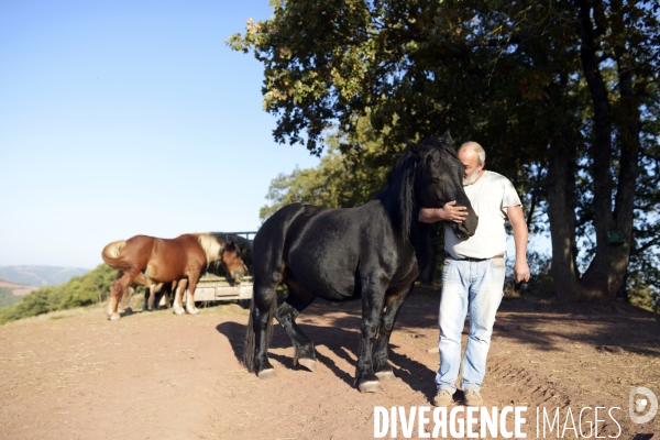 Agriculture - Circuits Courts - Aveyron