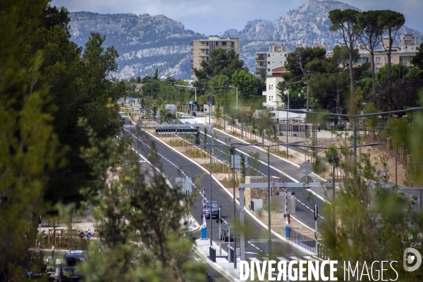 Concentration citoyenne en défense des espaces verts à Marseille