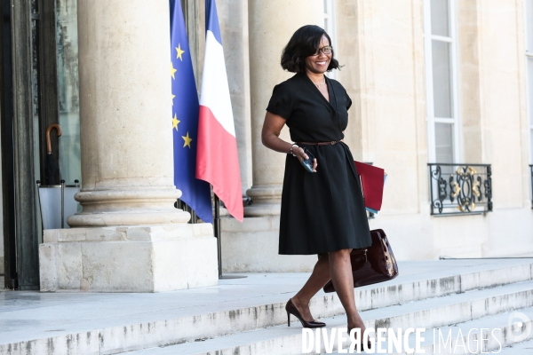 1er conseil des ministres du gouvernement castex