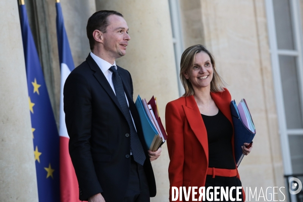 1er conseil des ministres du gouvernement castex