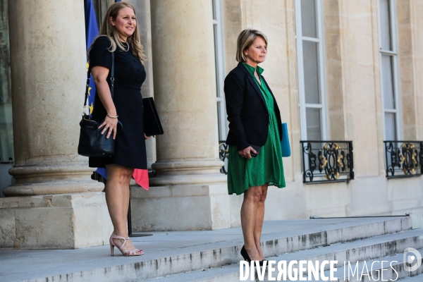 1er conseil des ministres du gouvernement castex
