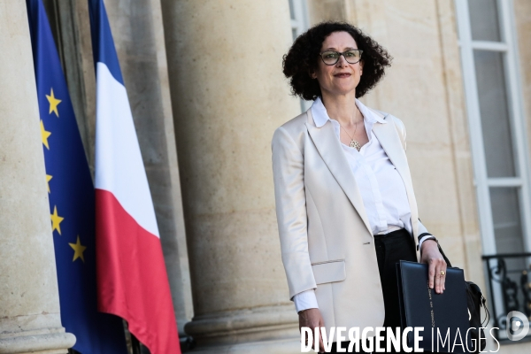 1er conseil des ministres du gouvernement castex
