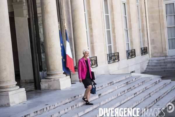 Premier conseil des ministres du gouvernement Castex