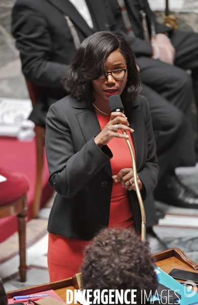 Assemblee nationale / Questions au gouvernement