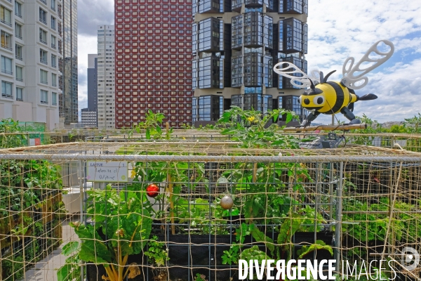 Peas&Love, un potager urbain au pied des tours du quartier Beaugrenelle