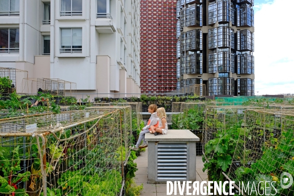 Peas&Love, un potager urbain au pied des tours du quartier Beaugrenelle
