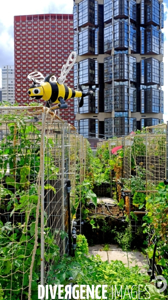 Peas&Love, un potager urbain au pied des tours du quartier Beaugrenelle