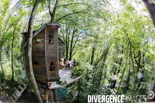 La cabane dans les arbres de Xavier Marmier et de sa compagne Line dans le Doubs.