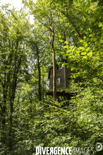 La cabane dans les arbres de Xavier Marmier et de sa compagne Line dans le Doubs.
