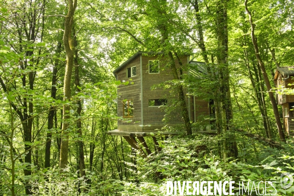 La cabane dans les arbres de Xavier Marmier et de sa compagne Line dans le Doubs.