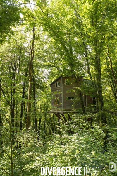 La cabane dans les arbres de Xavier Marmier et de sa compagne Line dans le Doubs.