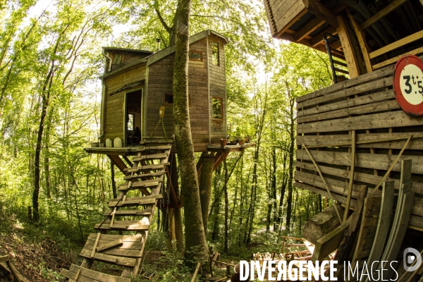 La cabane dans les arbres de Xavier Marmier et de sa compagne Line dans le Doubs.