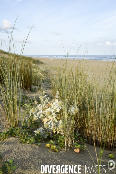 Soulac-sur-Mer