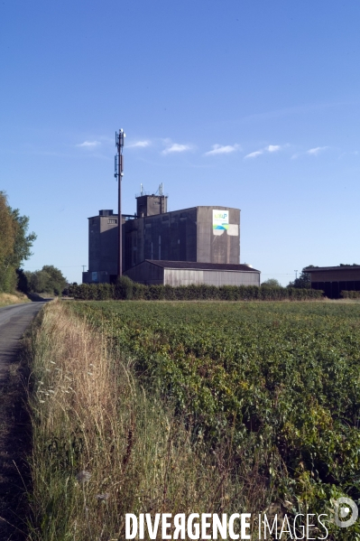 Moisson du blé,Normandie