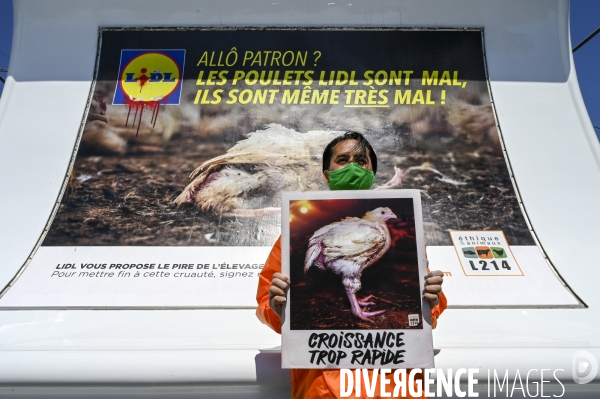 Cause animale : Action nationale L214 devant le siège de LIDL à Rungis pour dénoncer les conditions d elevage des poulets de chair. Animals rights, chickens.